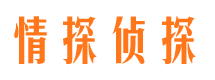 沭阳市私家侦探